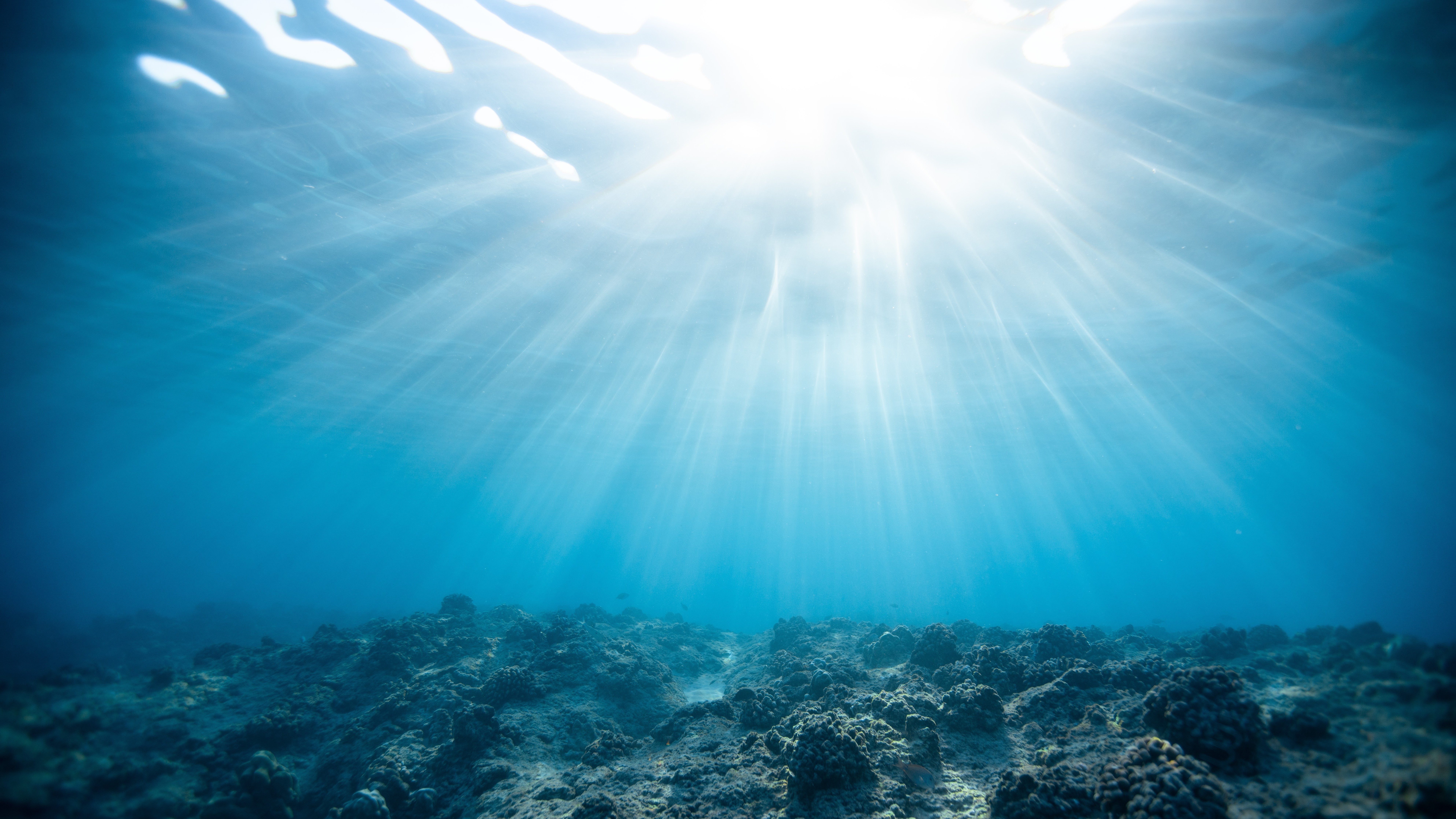 ocean